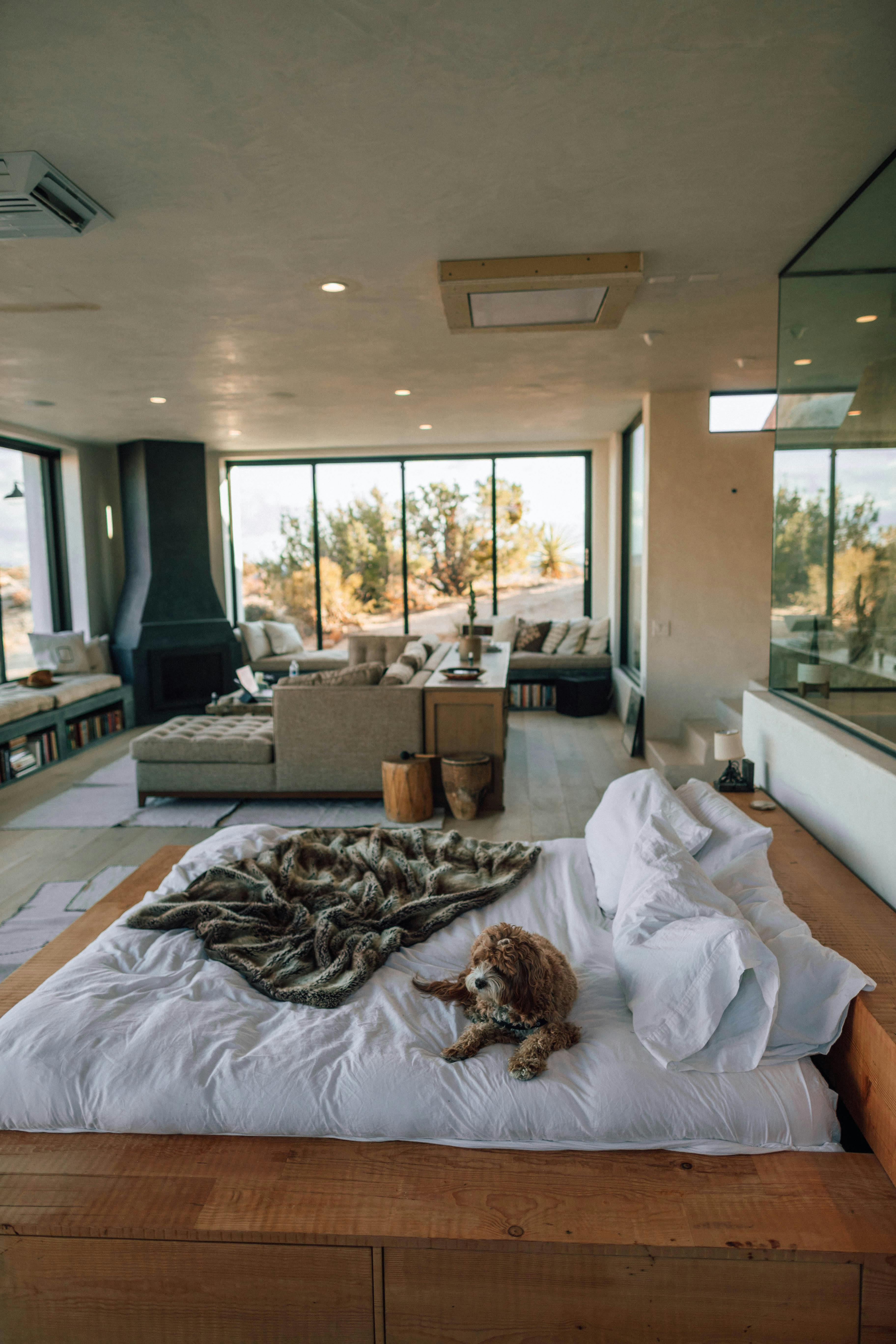 Stays in Puerto Rico 47 Beachfront living room with ocean view